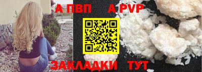 гашик Кингисепп