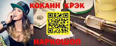 гашик Кингисепп