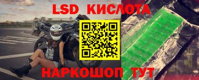 гашик Кингисепп