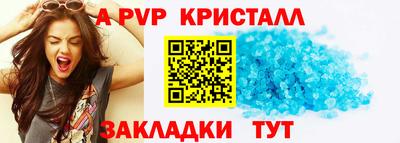 гашик Кингисепп