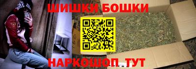 гашик Кингисепп