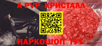 гашик Кингисепп