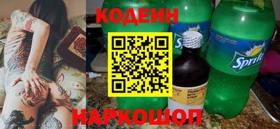 гашик Кингисепп