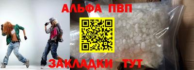 гашик Кингисепп