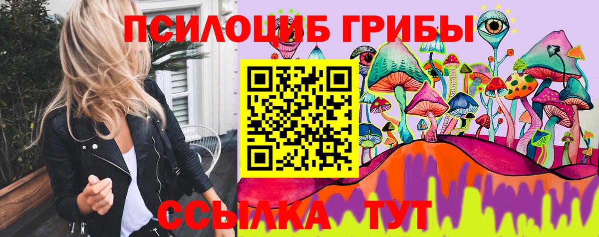 Псилоцибиновые грибы Psilocybine cubensis  Вход с VPN  Красноуфимск 